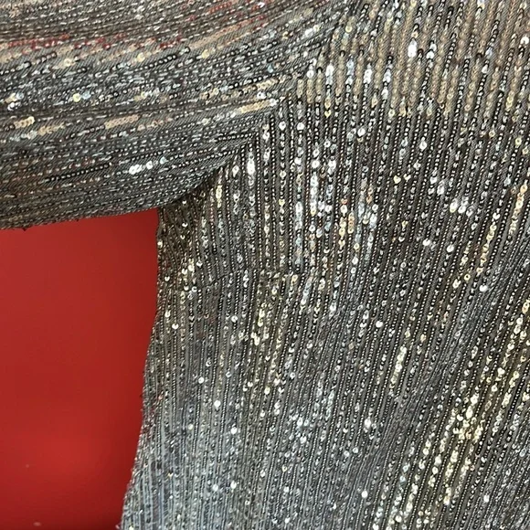 BNWOT Soft surroundings silver sparkly, long sleeve, formal lined top - Picture 4 of 16